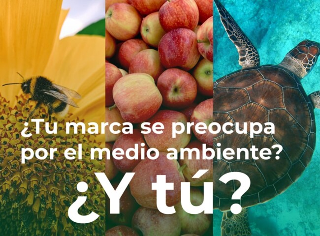 Tu marca se preocupa por el medio ambiente? ¿Y tú?